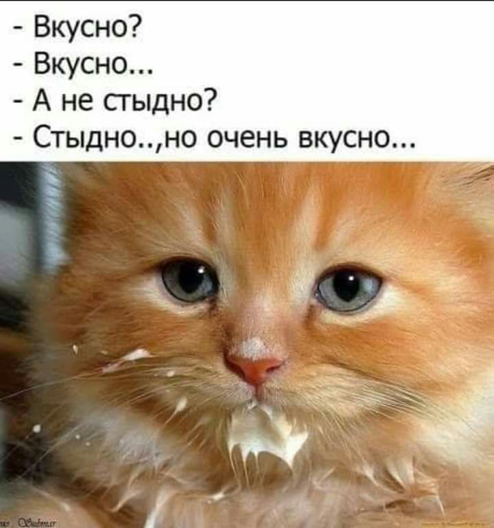 Вкусно Вкусно А не стыдно Стыдноно очень вкусно