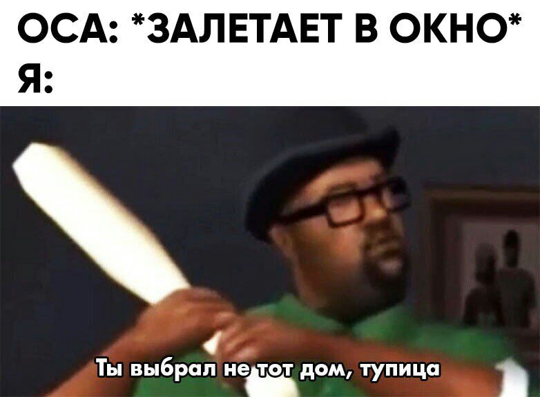 ОСА ЗАЛЕТАЕТ В ОКН0 Ты выбрал не тот дом тупица