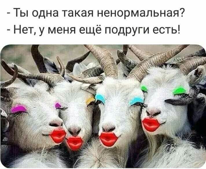 Ты одна такая ненормальная Нет у меня ещё подруги есть