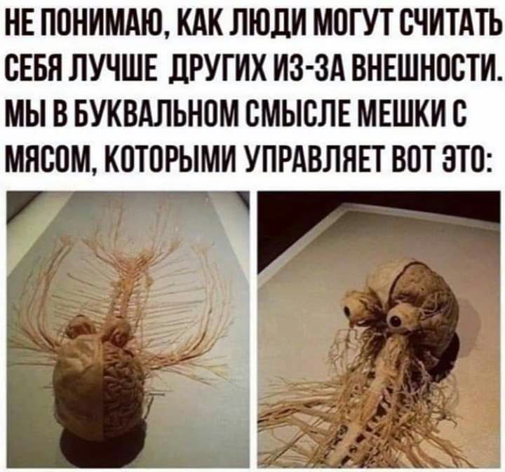 НЕ ПОНИМАЮ КАК ЛЮДИ МОГУТ СЧИТАТЬ СЕБЯ ЛУЧШЕ ДРУГИХ ИЗ ЗА ВНЕШНПВТИ МЫ В БУКВАЛЬНПМ БМЫВЛЕ МЕШКИ С МЯСОМ КПТПРЫМИ УПРАВЛЯЕТ ВОТ ЭТО