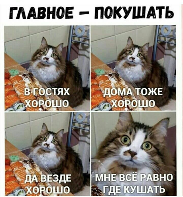 Г ААВНОЕ ПОКУЩАТЬ