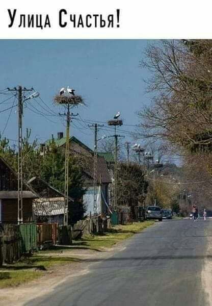 гв _ т ъ гтш чпу 7 и ___
