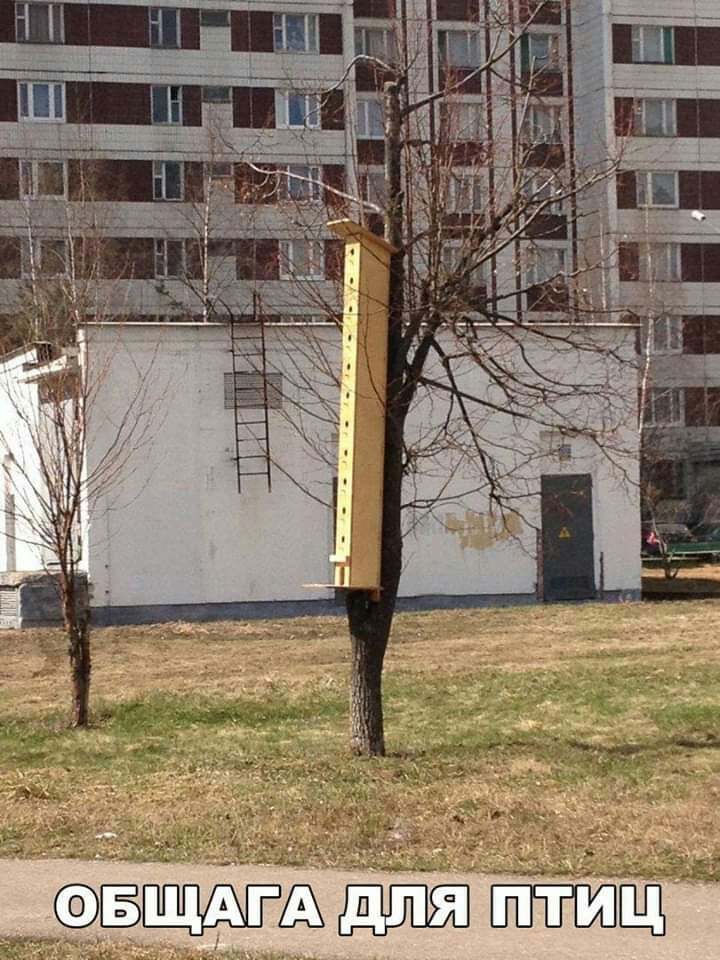 А ЁЩ