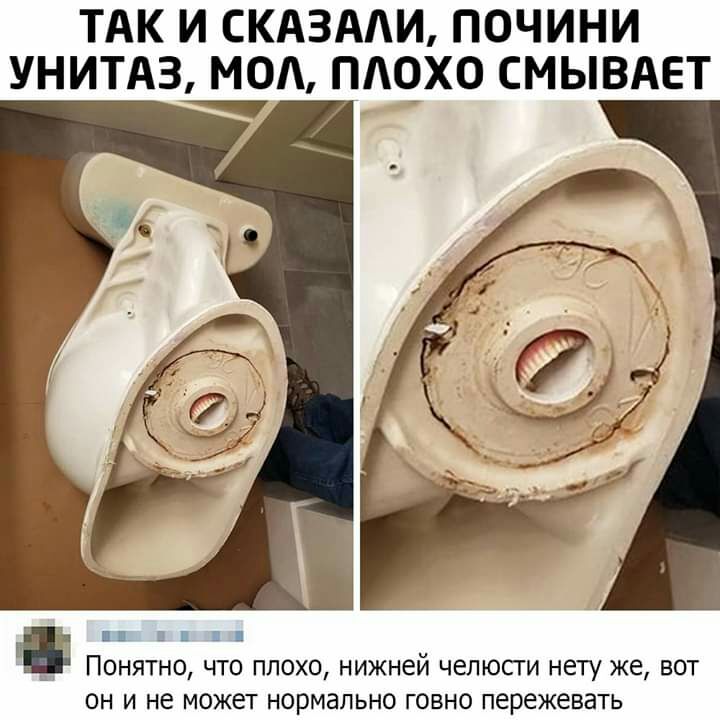 ТАК И СКАЗАЛИ ПОЧИНИ УНИТАЗ МОА ПАОХО СМЫВАЕТ 1 Понятно что плохо нижней чепюсги нету же вот он и не может нормально говно пережевать