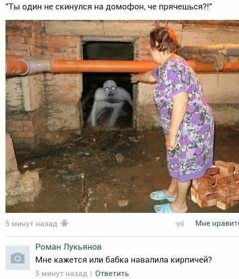 Ты один не скинупся на домафон че прячешься Роман Лукьянов Мне кажется или бабка навапипа кирпичей Ответить