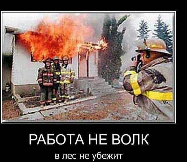 РАБОТА Н Е ВОЛ К в лес не убежит