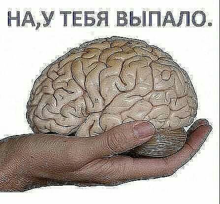 НАД ТЕБЯ ВЬШПАЛО