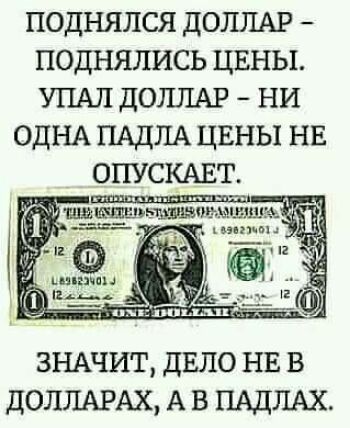 поднялся дОЛЛАР поднялись ЦЕНЫ УПАЛ ДОЛЛАР ни ОДНА ПАдлА ЦЕНЫ НЕ ОПУСКАЕТ ЗНАЧИТ ДЕЛО НЕ В ДОЛЛАРАХ А В ПАДЛАХ
