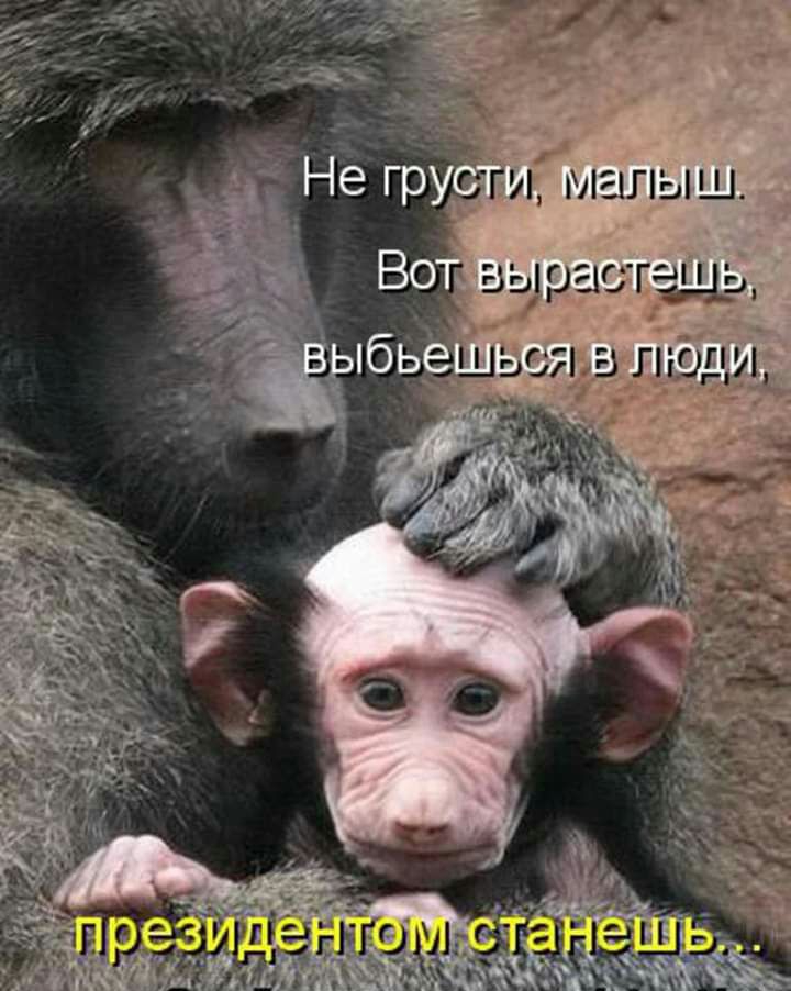 Ш МЗШЬ У Ю 6 пп