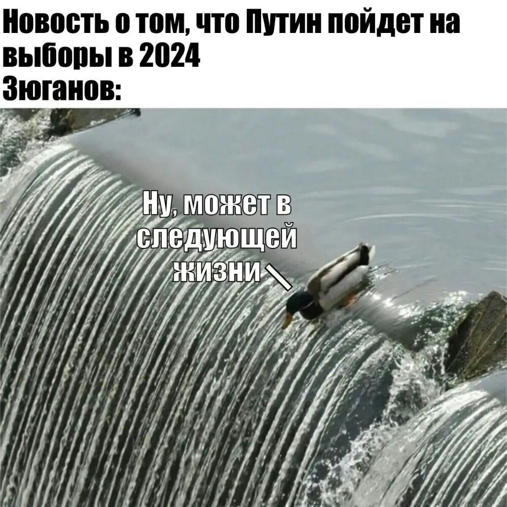 Новость о том что Путин пойдет на выбопы в 2024 Зюганов
