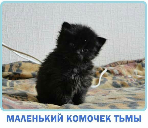 МААЕНЬКИЙ КОМОЧЕК ТЬМЫ