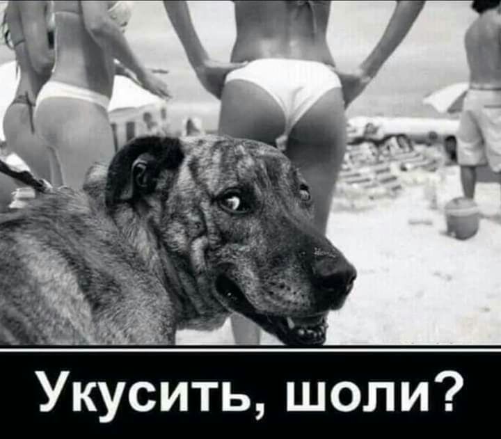 Укусить шопи