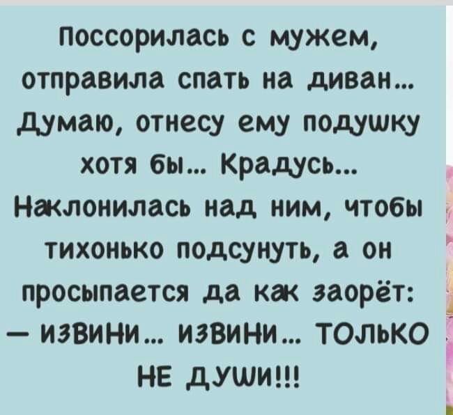 поссорилась с мужем отправила спать на диван думаю отнесу ему подушку хотя бы Крадусь Нжлонилась над ним чтобы тихонько подсунуть а он просыпается да кж заорёт 1 ИЗВИНИ извини ТОЛЬКО НЕ дУШИ