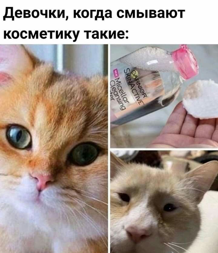 девочки когда смывают косметику такие дяЩ