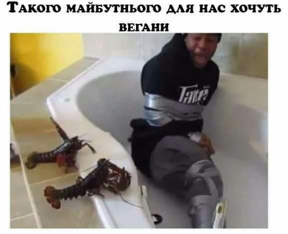 ТАКО МАЙБУТНЬОЮ ААП НАС ХОЧУТЬ ВЕГАНН