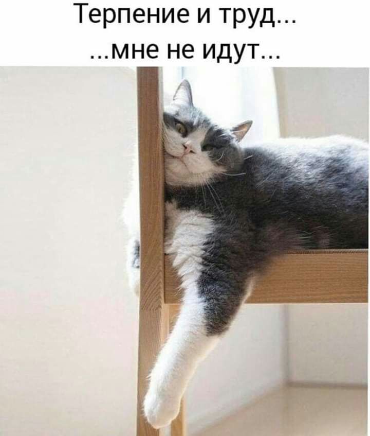 Терпение и труд мне не идут