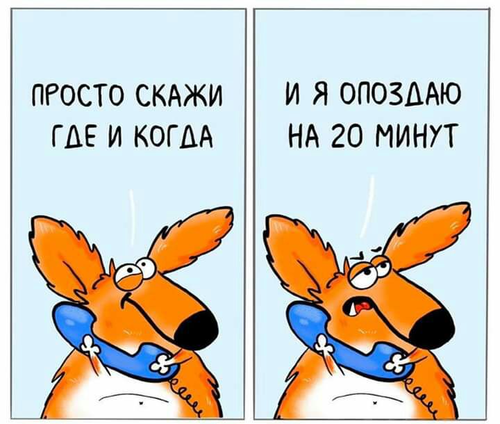 ПРОСТО СКАЖИ И Я ОПОЗААЮ ГАЕ И КОГДА НА 20 МИНУТ