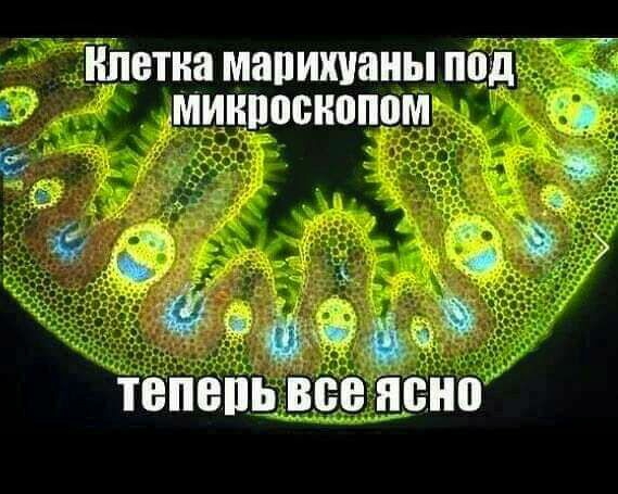 Шютна мапикуаны піід __ АМИНППВНПППМ _ 9 д 5 А ёёё а ТЁПБПБ ВВВ ЕБН