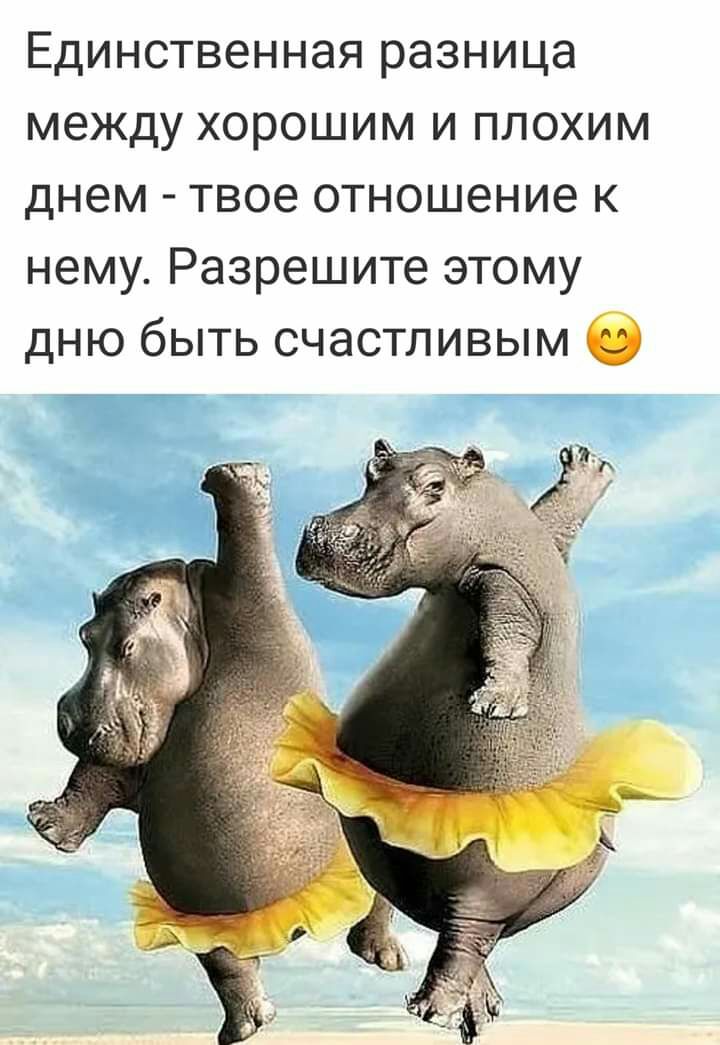 Счастья полные штаны картинки прикольные