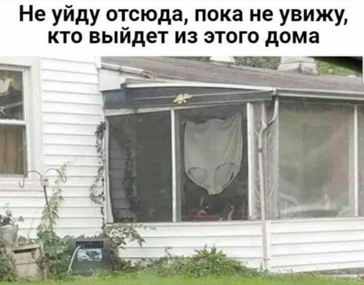 Не уйду отсюда пока не увижу кто выйдет из этого дома