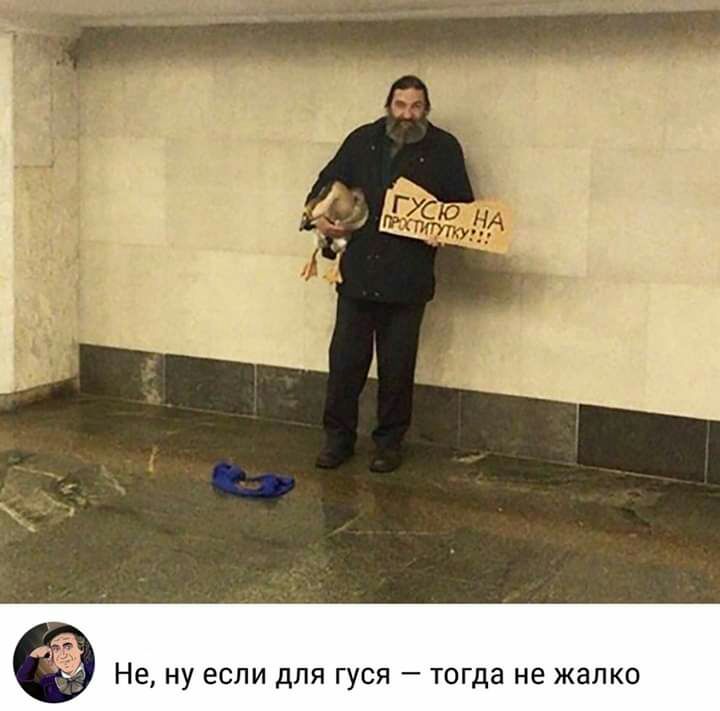 НЕ НУ ЕСЛИ ДЛЯ ГУСЯ тогда не жалко