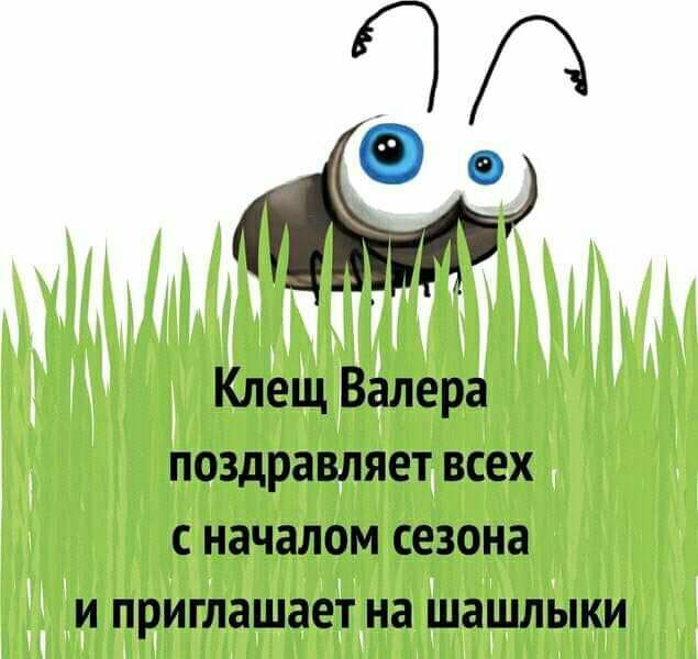 35 Клещ Валера поздравляет всех с началом сезона и приглашает на шашлыки