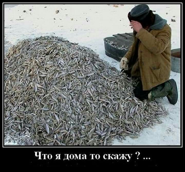 Что я дома то скажу