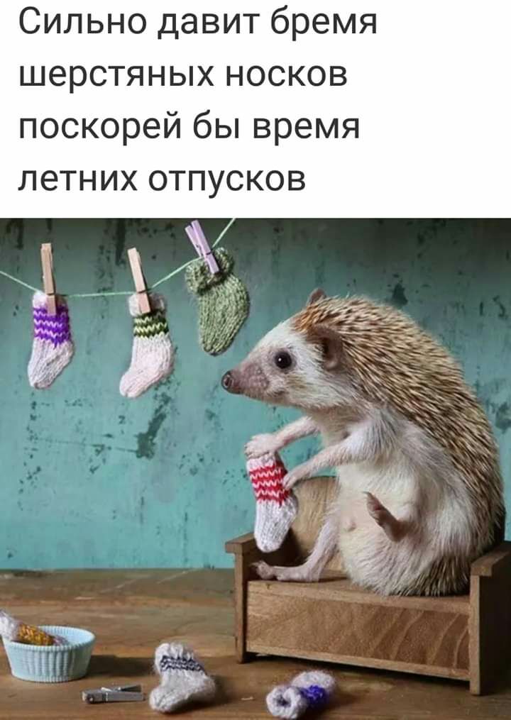 Сильно давит бремя шерстяных носков поскорей бы время летних отпусков