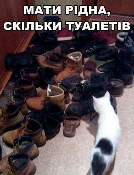 мдти Ёпдщ скшьки УАЛЁТісВ К щ