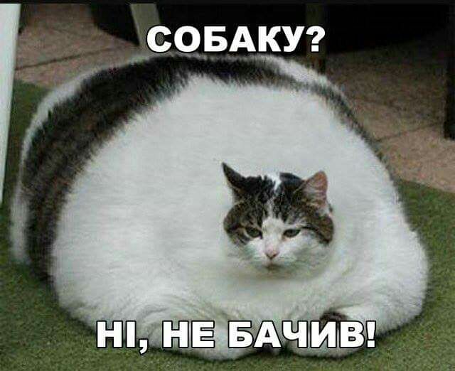 _счвАКУ