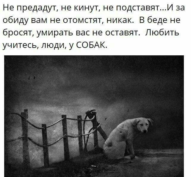 Не предадут не кинут не подставятИ за обиду вам не отомстят никак В беде не бросят умирать вас не оставят Любить учитесь люди у СО БАК