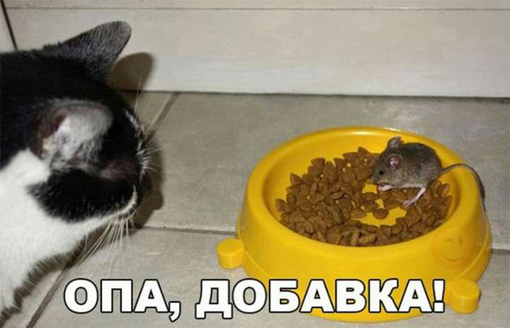 и з дЁАВКА Р