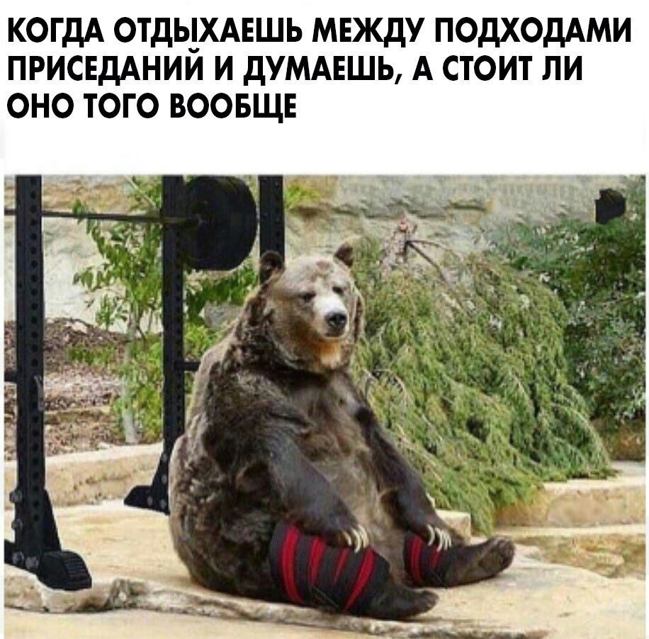 КОГДА ОТДЬ__ХАЕШЬ МЕЖДУ ПОДХОДАМИ ПРИСЕДАНИИ И дУМАЕШЬ А СТОИТ ЛИ ОНО ТОГО ВООБЩЕ