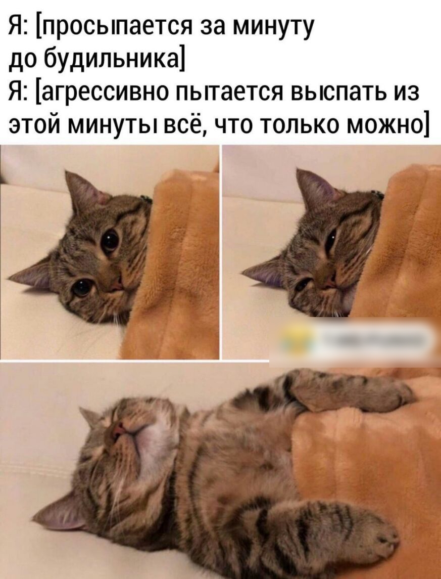 Я просыпается за минуту до будильника Я агрессивно пытается выспать из этой минуты всё что только можно