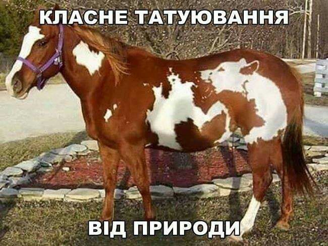 Від прирбдц