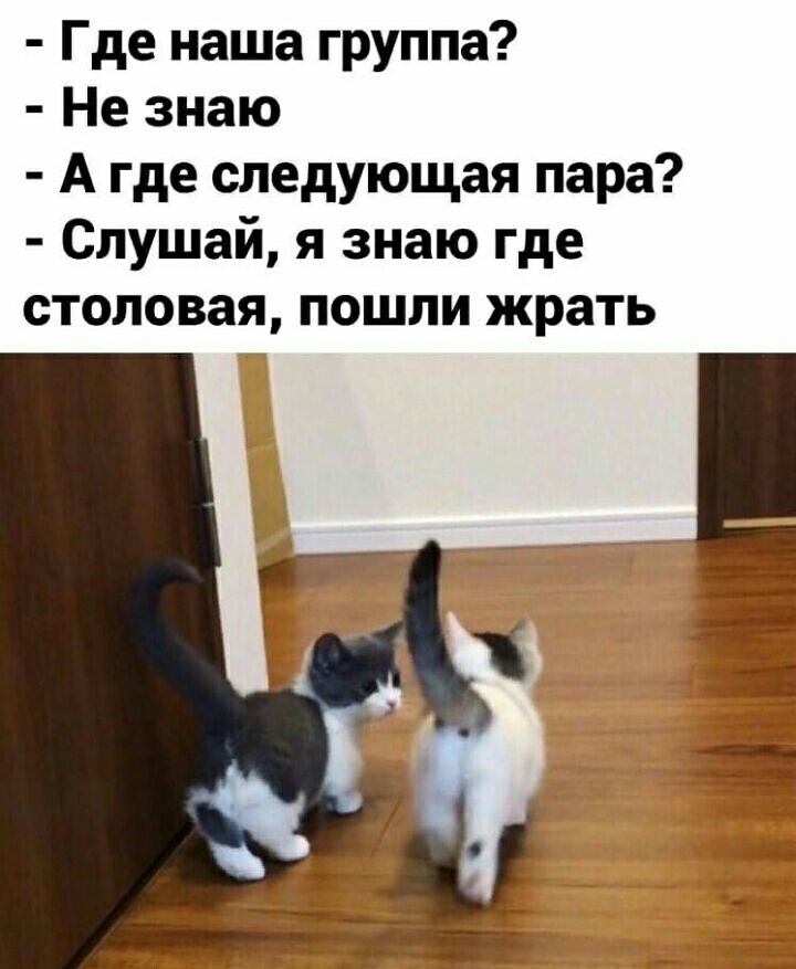 Где наша группа Не знаю А где следующая пара Слушай я знаю где столовая пошли жрать