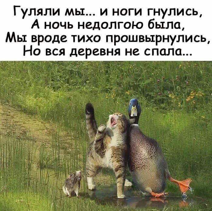 ГУЛЯЛИ МЫ И НОГИ ГНУЛИСЬ А ночь недолгою было Мы вроде тихо прошвьтрнулись Но вся деревня не спала