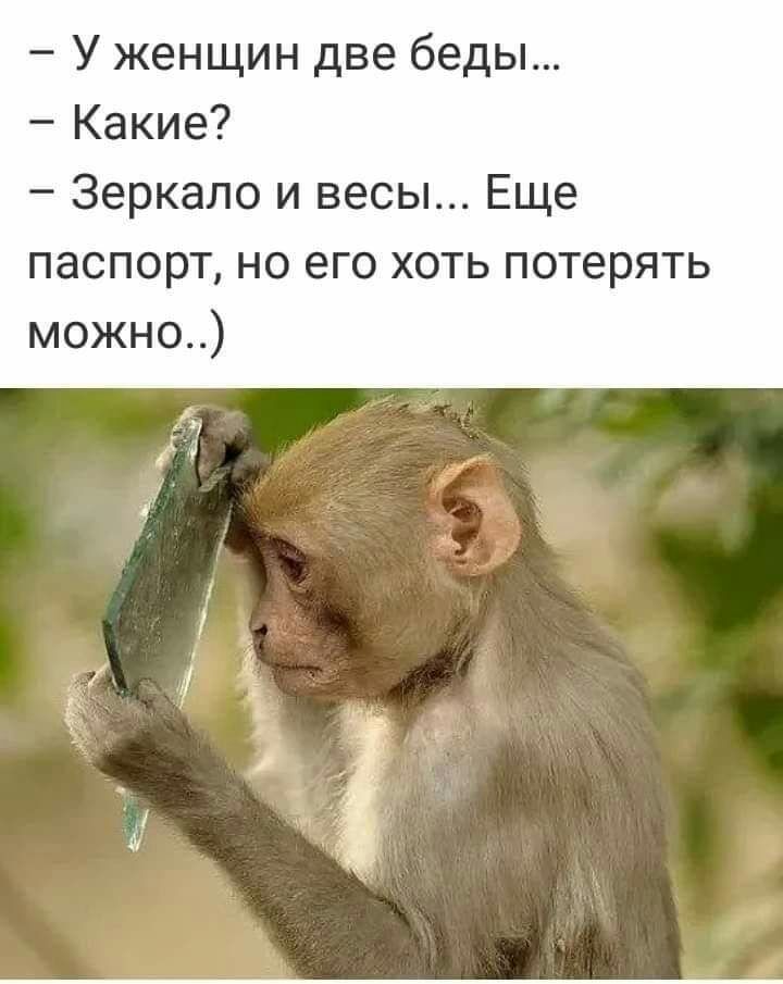 У женщин две беды Какие Зеркало и весы Еще паспорт но его хоть потерять можно