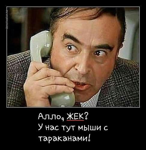 Аллоч ЖЕК У Нас тут мЫши с тараканами