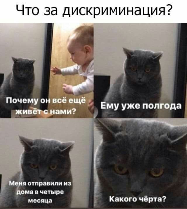 Что за дискриминация Почему он под ещ тыл ми Ему уже полгода Какого чёрта