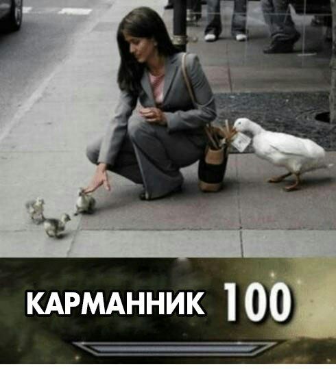 КАРМАННИК 10 7