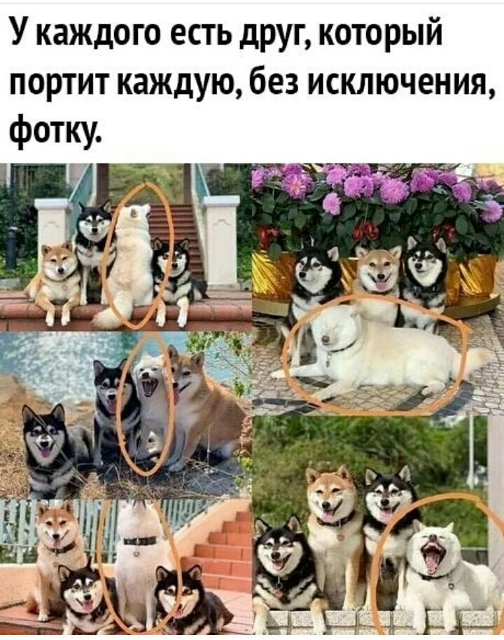У каждого есть друг который портит каждую без исключения
