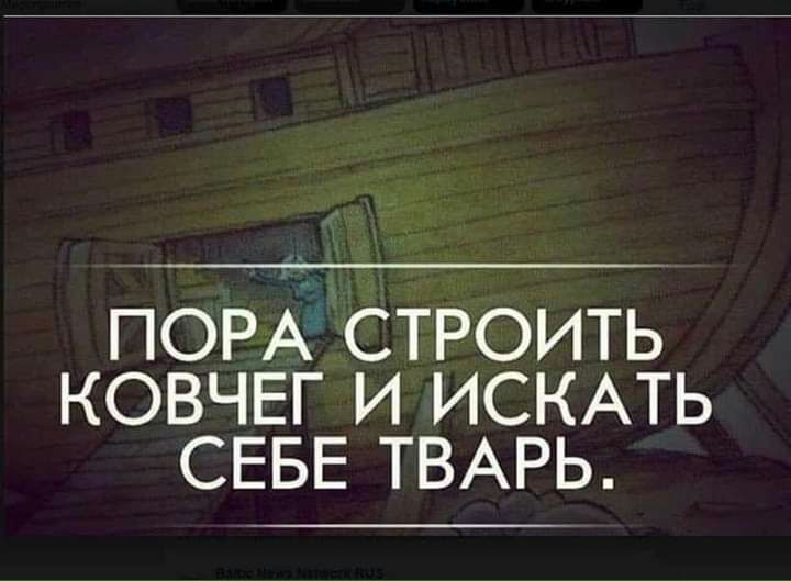 ПОРА СТРОИТЬ КОВЧЕГ И ИСКАТЬ СЕБЕ ТВАРЬ