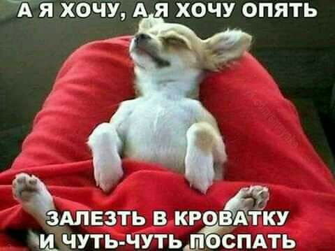 ЧЁ ХОЧУ А Я ХОЧУ ОПЯТЬ ЗАЛЕЗТЬ В КРОВАЁГКУ чуть чутьлёпмь