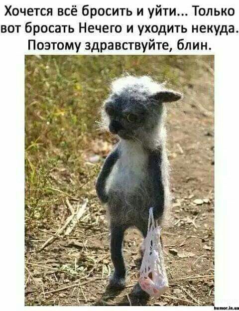 Хочется всё бросить и уйти Только вот бросать Нечего и уходить некуда Поэтому здравствуйте блин