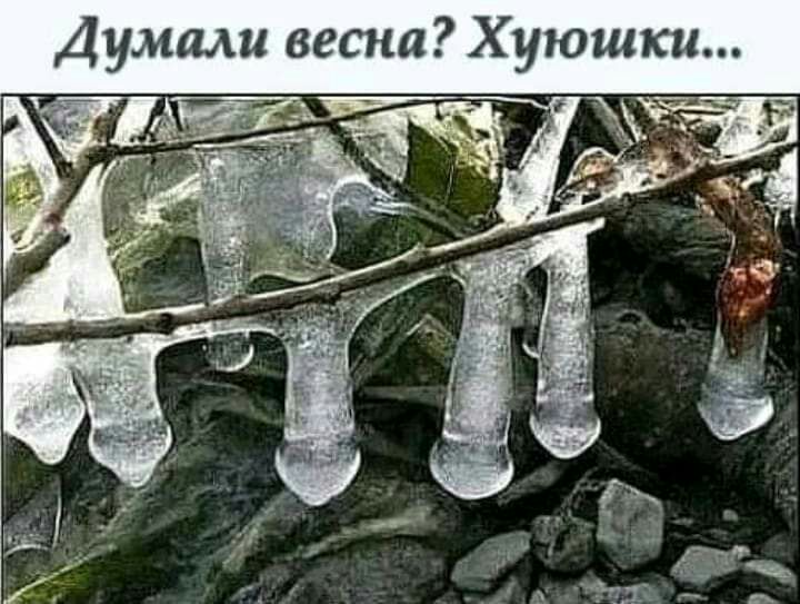 Думали весна Хуюшки