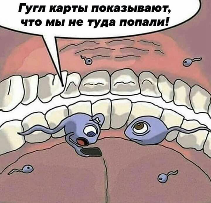 Гугл карты показывают что мы не туда попали