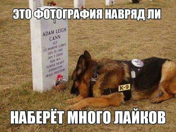 ндшЁт мною пдйнов