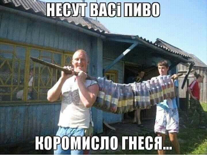 впо гнюя