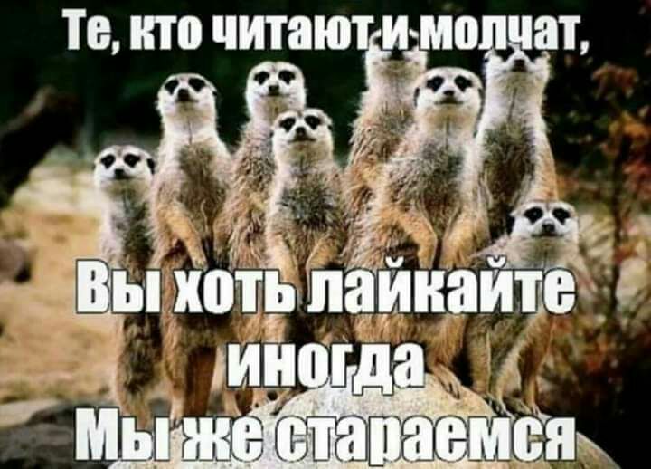 те кто чита ищо ат